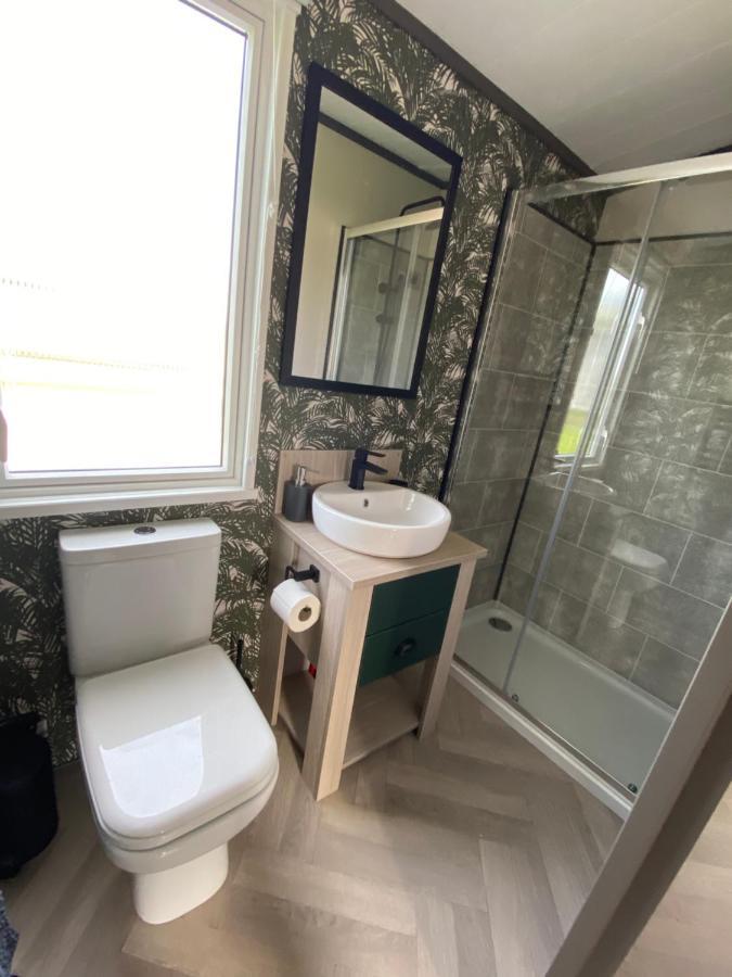 Riverwood Lodge New Quay Extérieur photo
